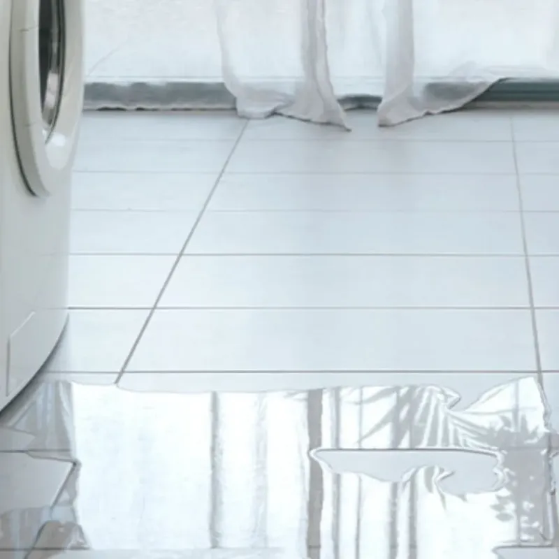 Appliance Leak Cleanup in Hart, MI