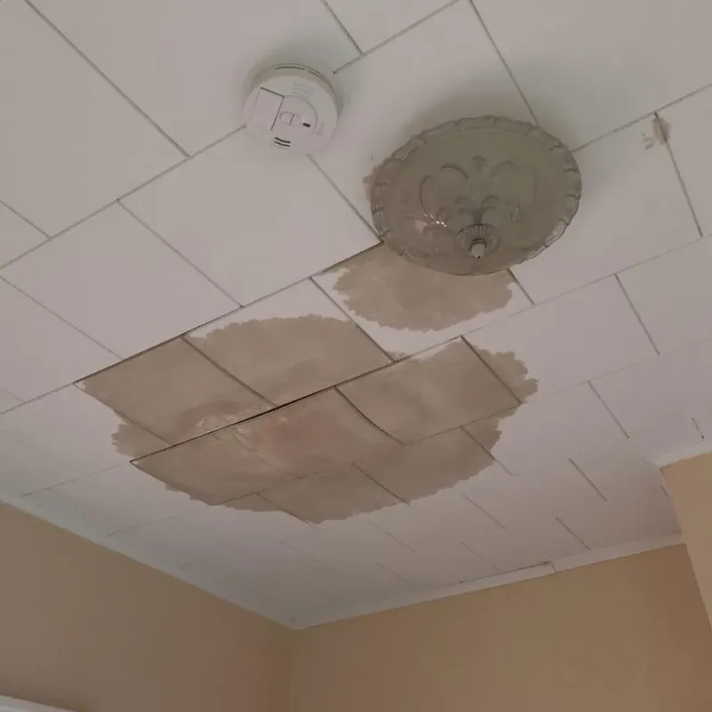 Ceiling Water Damage Repair in Hart, MI