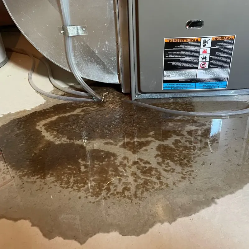 Pipe Burst and Leak Restoration in Hart, MI