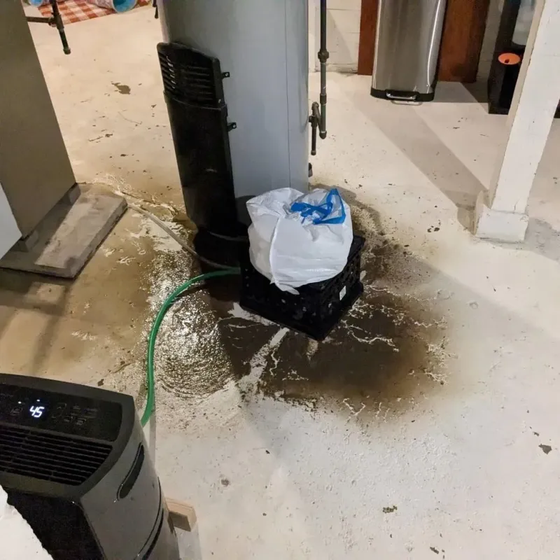 Sewage Backup Cleanup Service in Hart, MI
